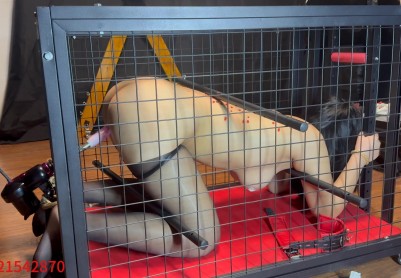 【悦感日记】小美狗笼囚禁|强制炮J|滴蜡|多时间囚禁|全程惨叫|直接虚脱