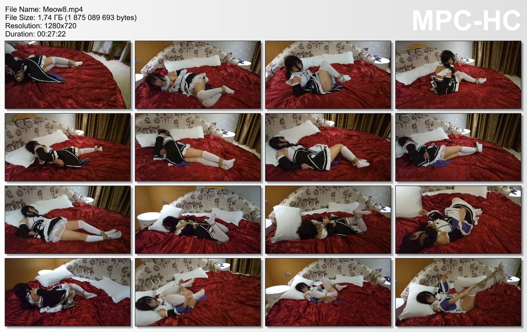 Meow8.mp4_thumbs_2017.09.12_15.33.46.jpg