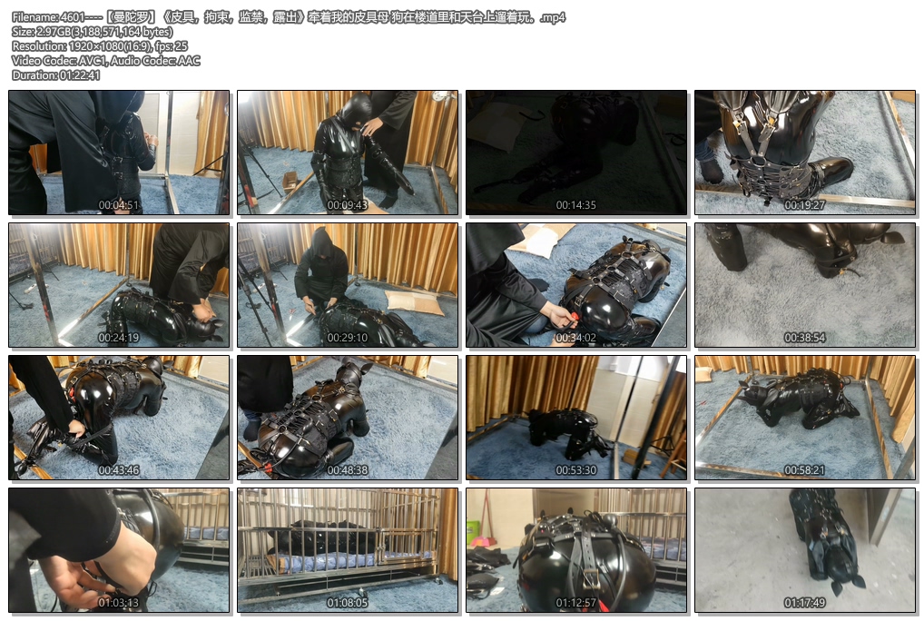 4601----【曼陀罗】《皮具，拘束，监禁，露出》牵着我的皮具母 狗在楼道里和天台上遛着玩。.jpg