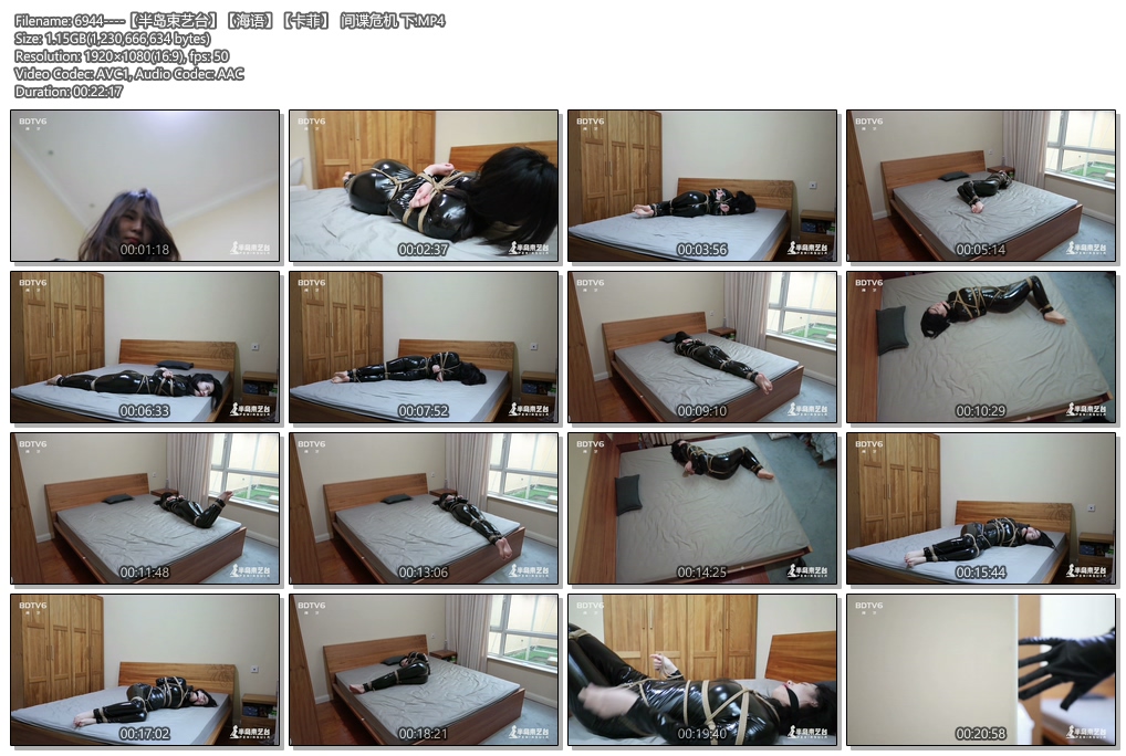 6944----【半岛束艺台】【海语】【卡菲】  间谍危机 下.jpg