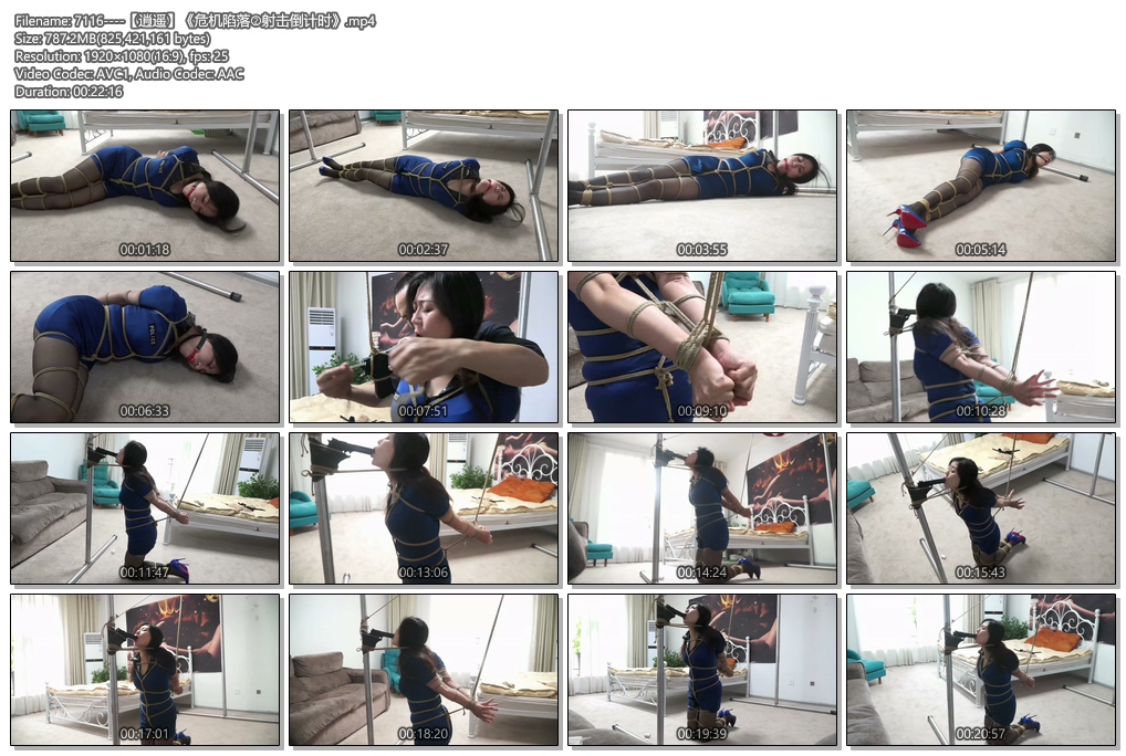 7116----【逍遥】《危机陷落②射击倒计时》.jpg
