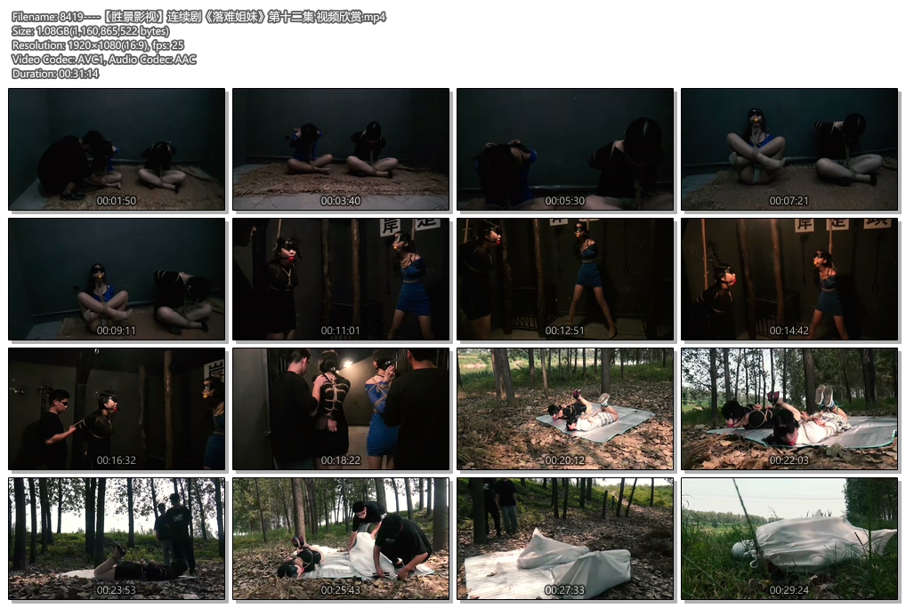 8419----【胜景影视】连续剧《落难姐妹》第十二集 视频欣赏.jpg