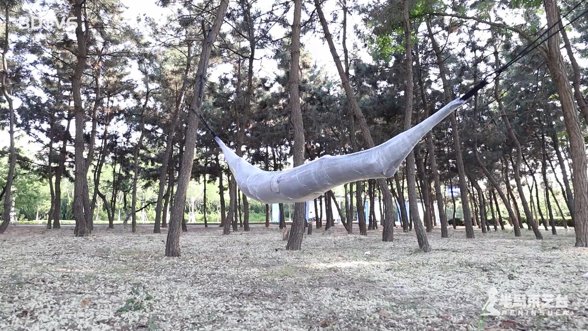 8573.mp4-9.jpg