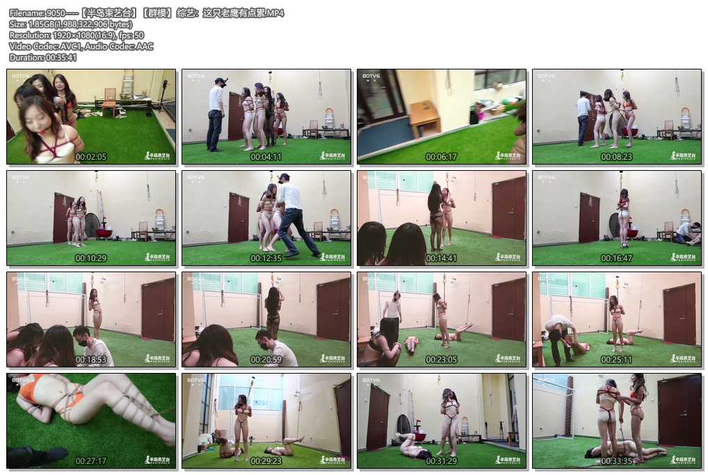 9050----【半岛束艺台】【群模】 综艺：这只老鹰有点累.jpg
