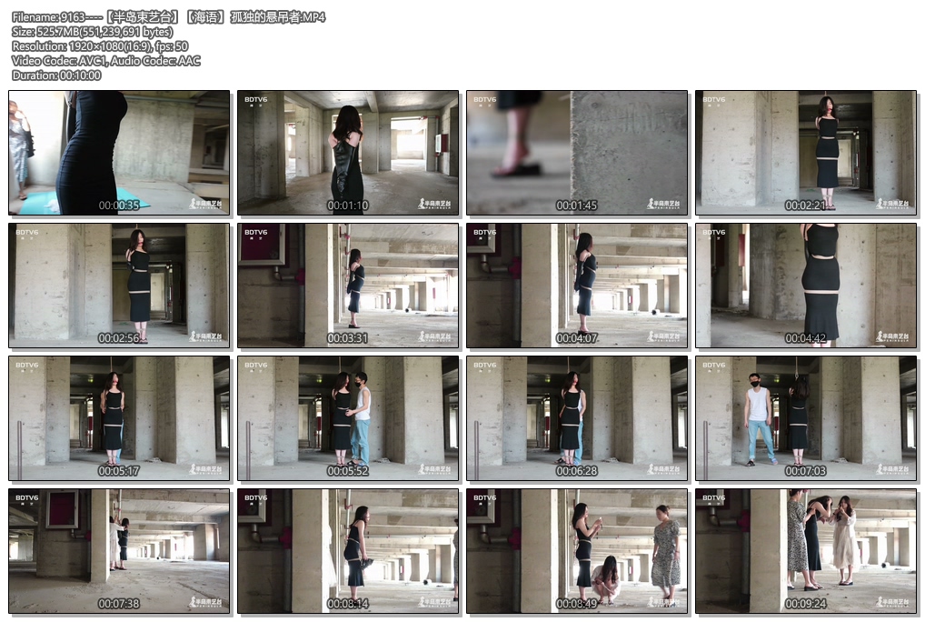9163----【半岛束艺台】【海语】 孤独的悬吊者.jpg