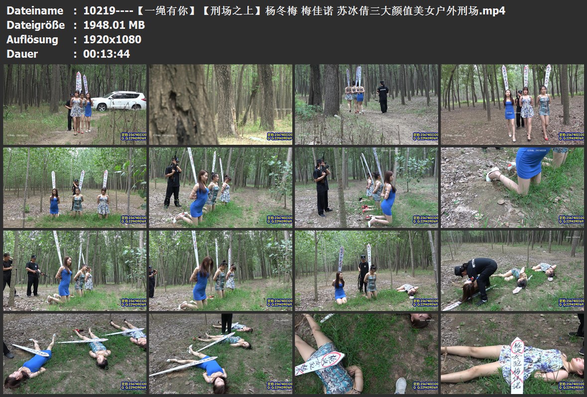 10219----【一绳有你】【刑场之上】杨冬梅 梅佳诺 苏冰倩三大颜值美女户外刑场.jpg