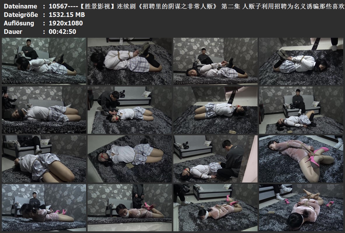 10567----【胜景影视】连续剧《招聘里的阴谋之非常人贩》 第二集 人贩子利用招聘为名.jpg
