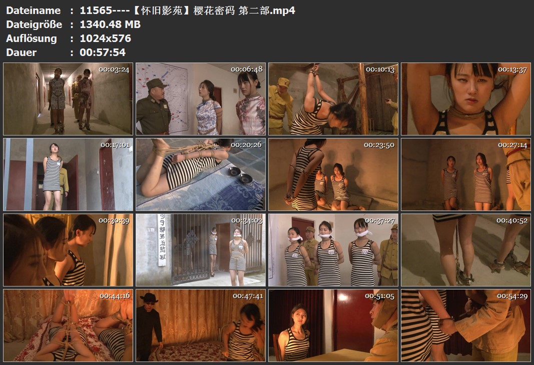 11565----【怀旧影苑】樱花密码 第二部.jpg