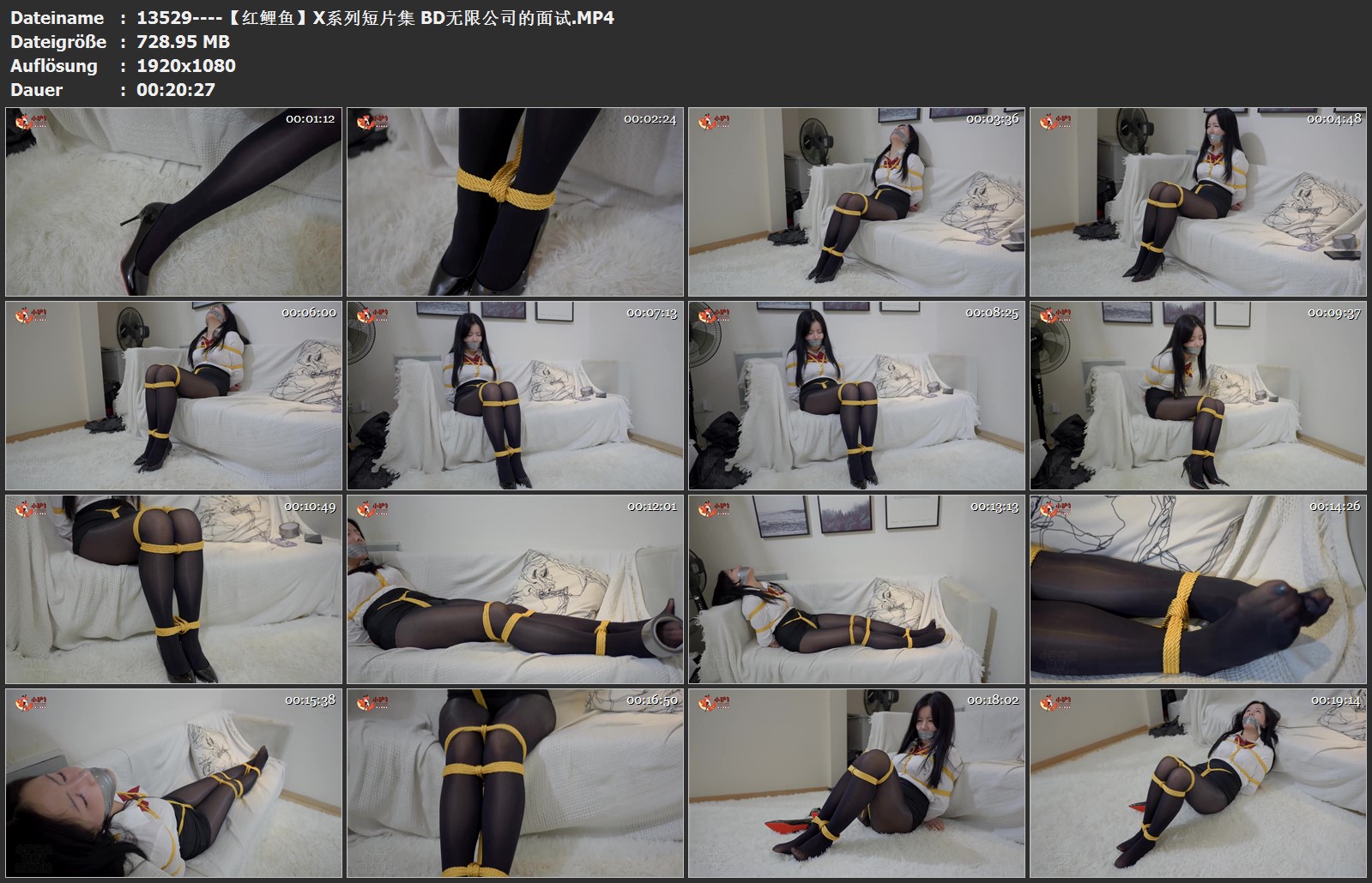13529----【红鲤鱼】X系列短片集 BD无限公司的面试.jpg