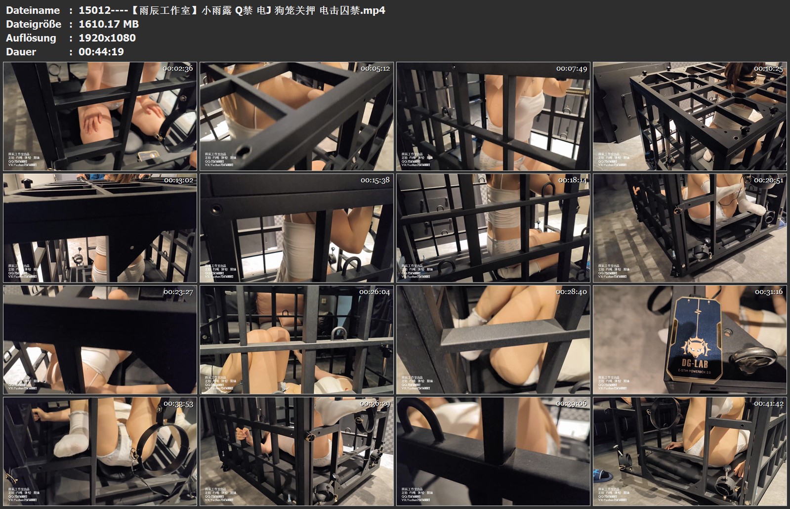 15012----【雨辰工作室】小雨露 Q禁 电J 狗笼关押 电击囚禁.jpg
