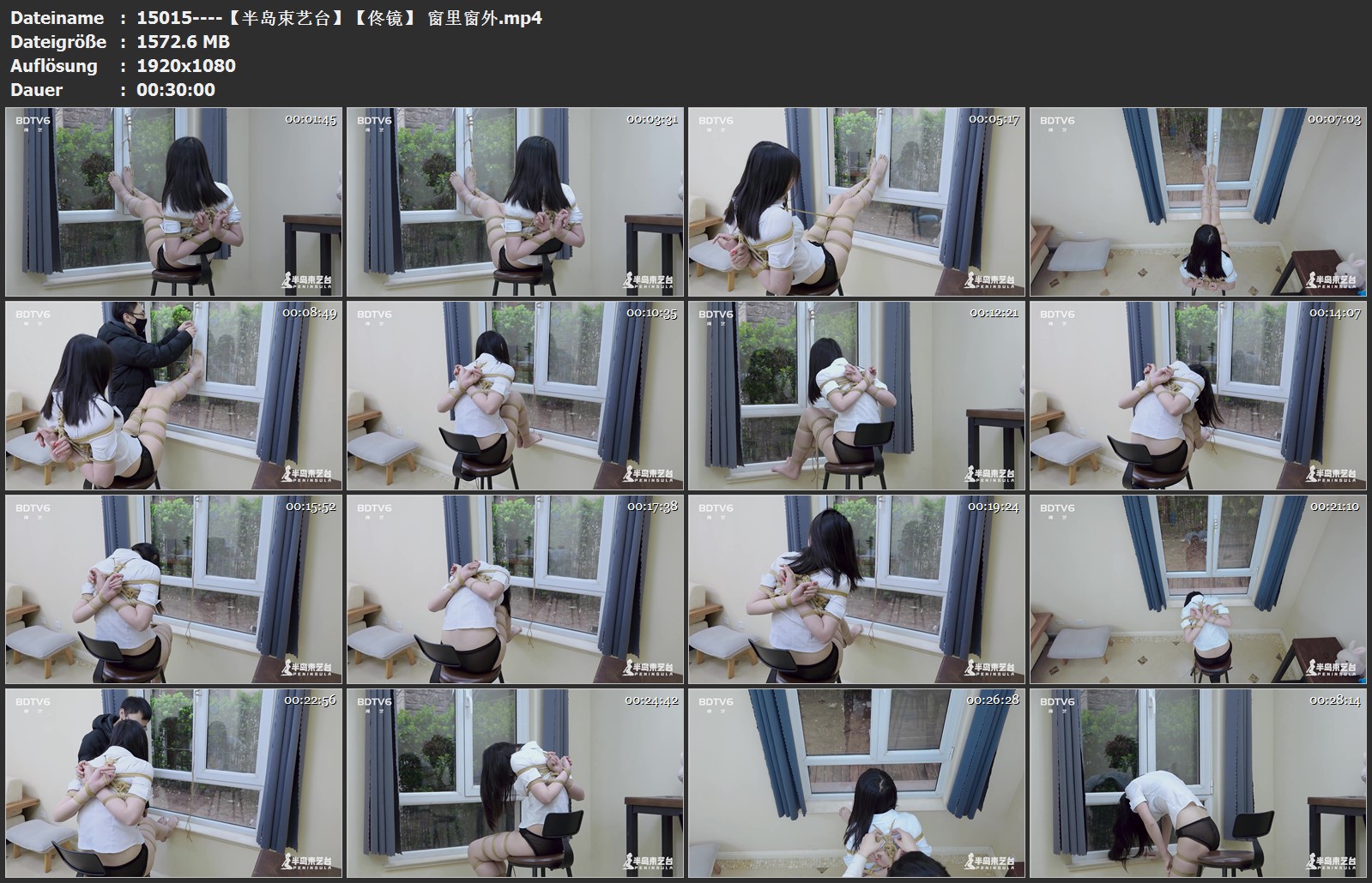 15015----【半岛束艺台】【佟镜】 窗里窗外.jpg