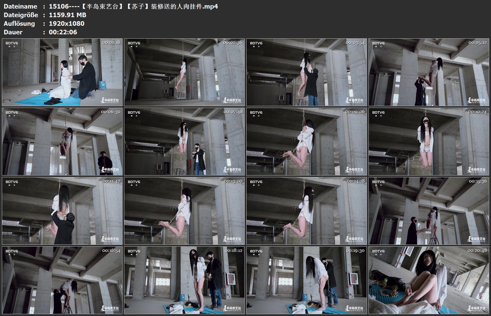 15106----【半岛束艺台】【苏子】装修送的人肉挂件.jpg