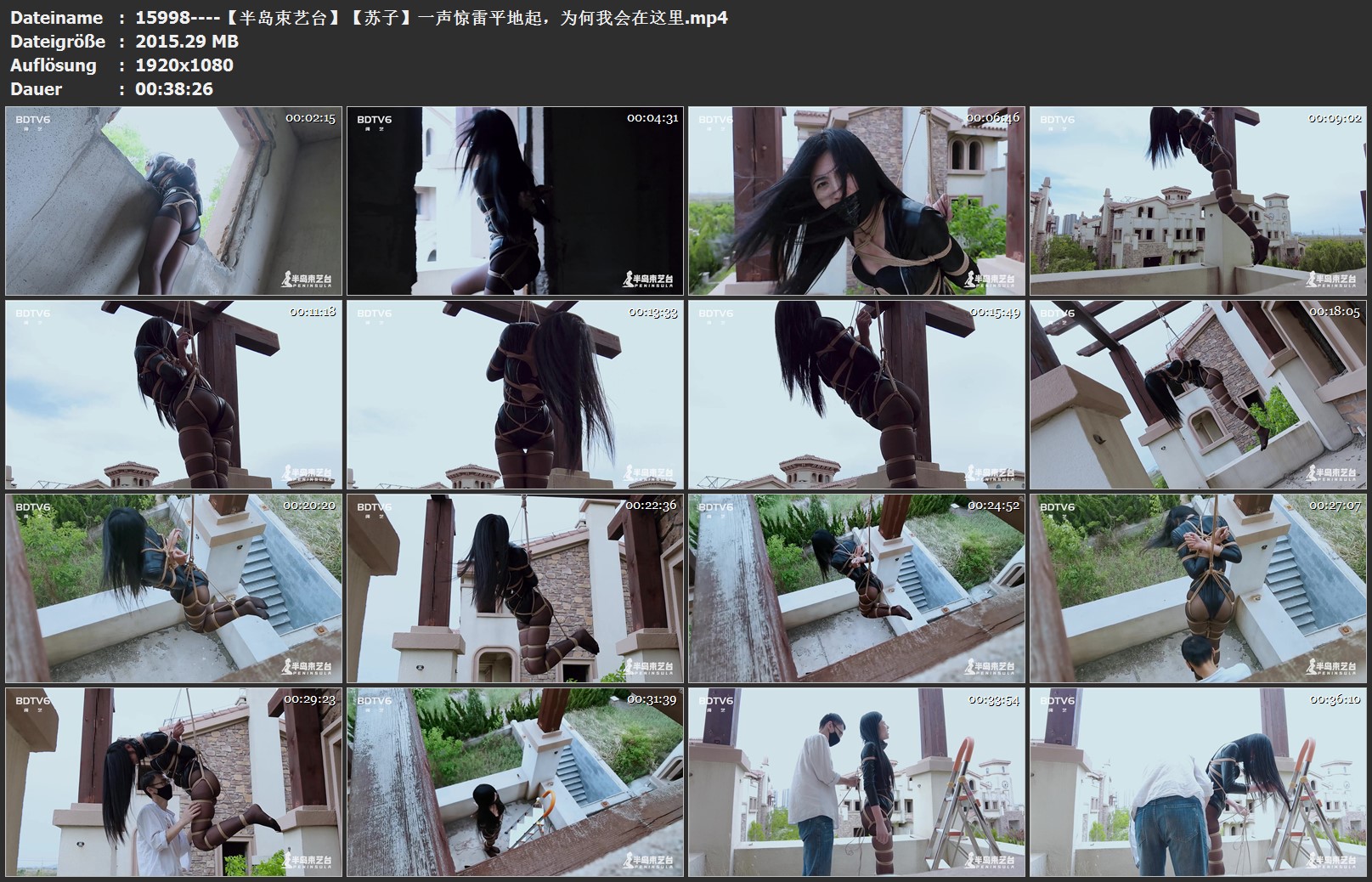 15998----【半岛束艺台】【苏子】一声惊雷平地起，为何我会在这里.jpg