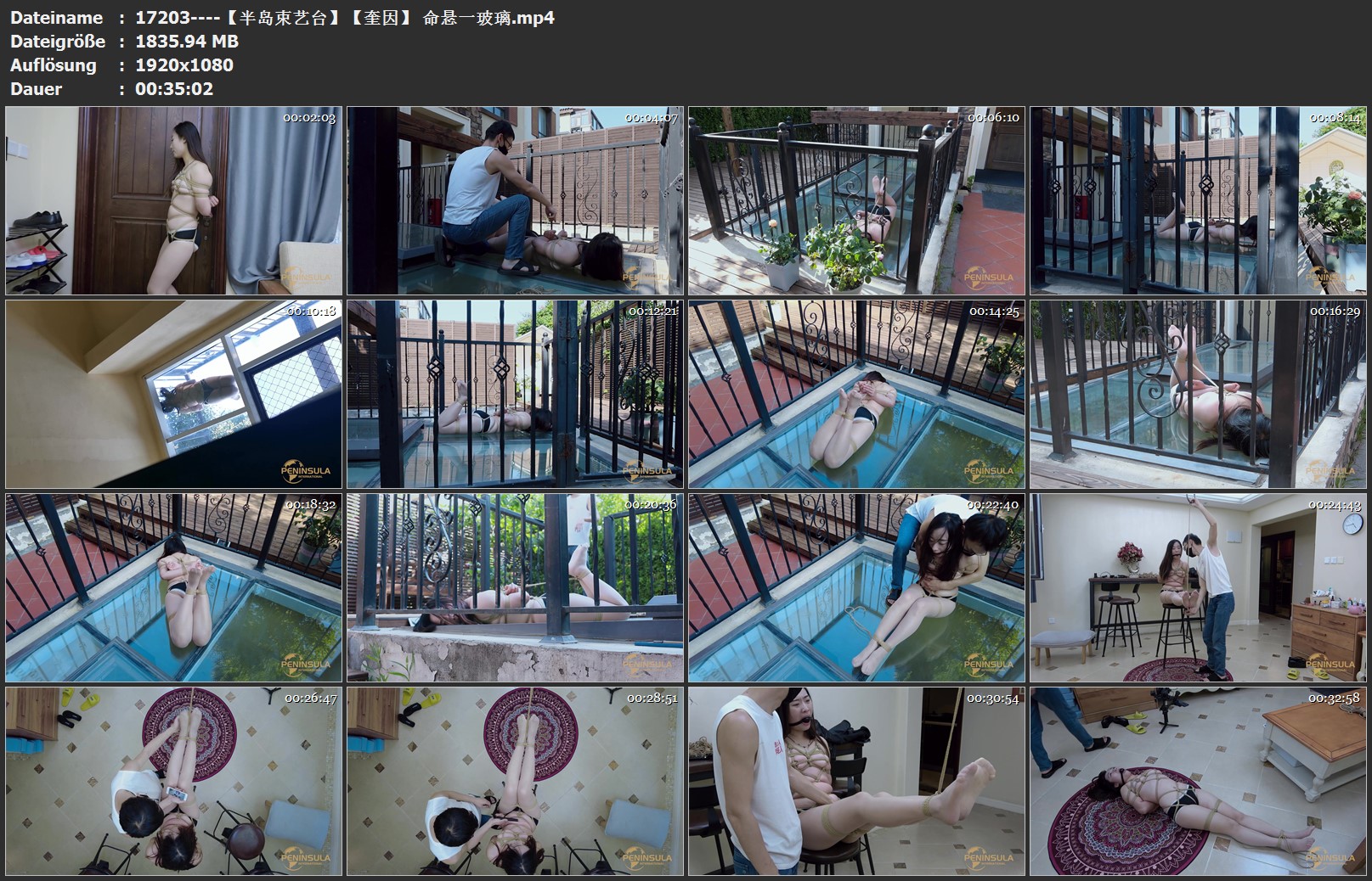 17203----【半岛束艺台】【奎因】 命悬一玻璃.jpg