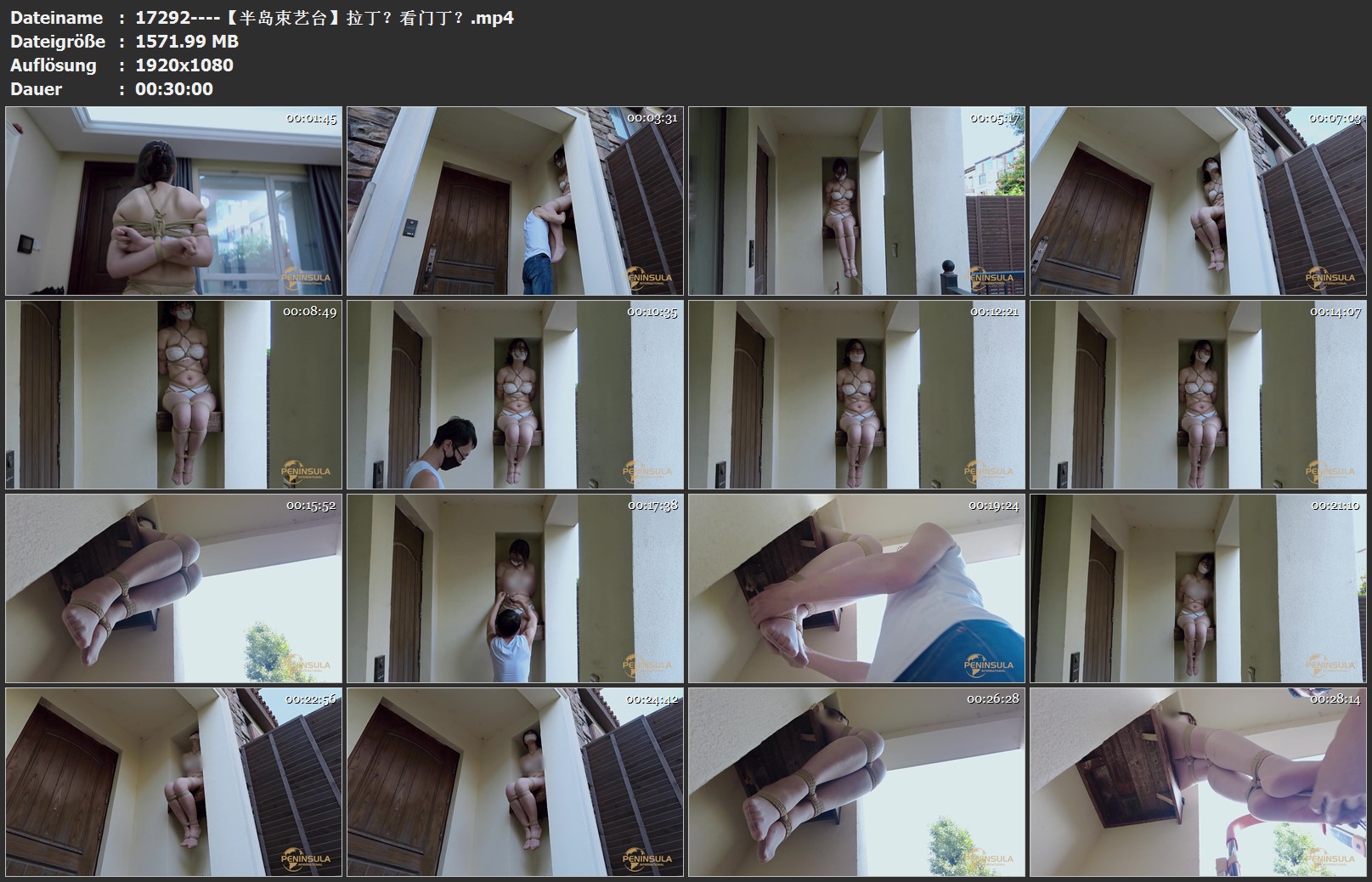 17292----【半岛束艺台】拉丁？看门丁？.jpg