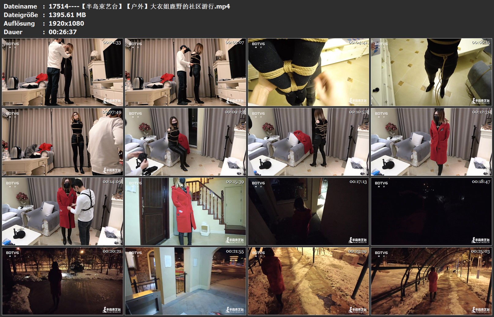 17514----【半岛束艺台】【户外】大衣姐鹿野的社区游行.jpg
