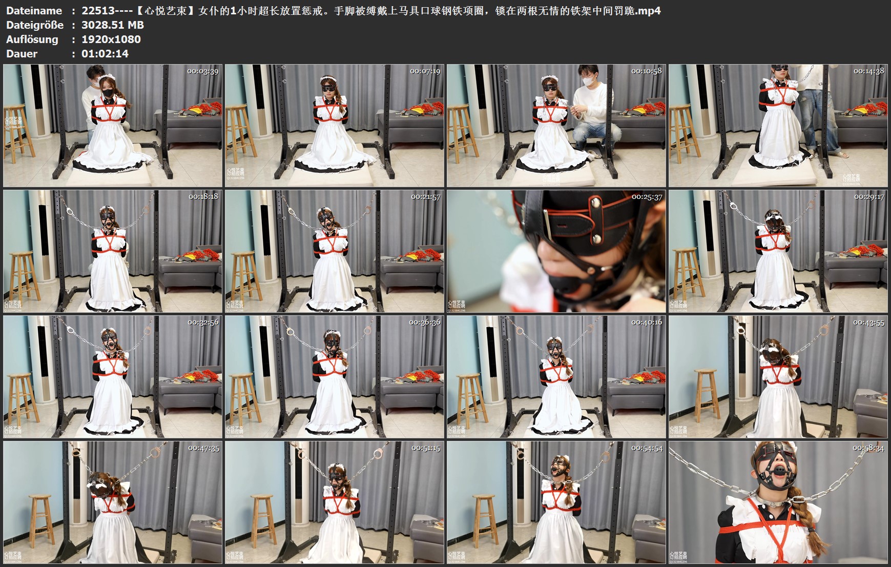 22513----【心悦艺束】女仆的1小时超长放置惩戒。手脚被缚戴上马具口球钢铁项圈，锁在.jpg