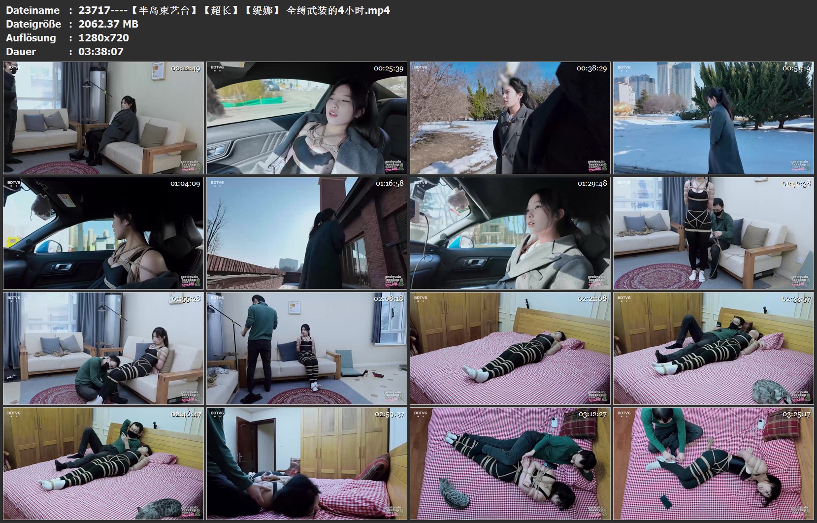 23717----【半岛束艺台】【超长】【缇娜】 全缚武装的4小时.jpg