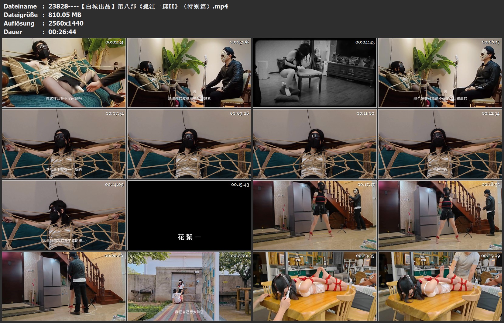 23828----【白城出品】第八部《孤注一掷II》（特别篇）.jpg