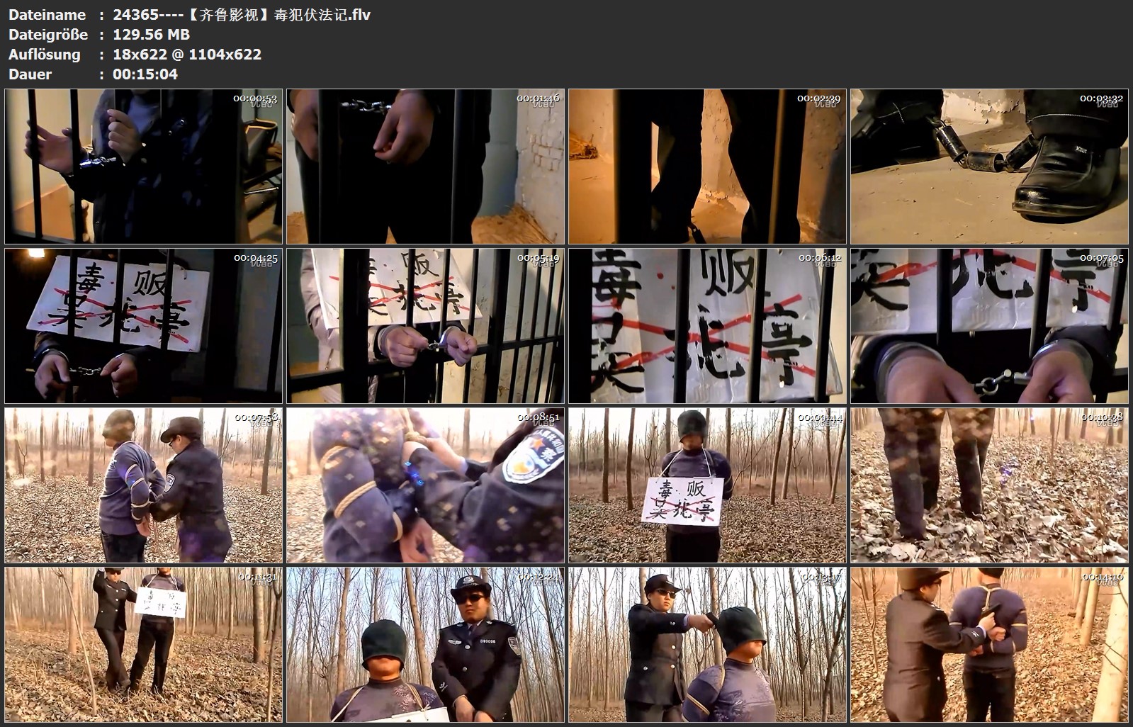 24365----【齐鲁影视】毒犯伏法记.jpg