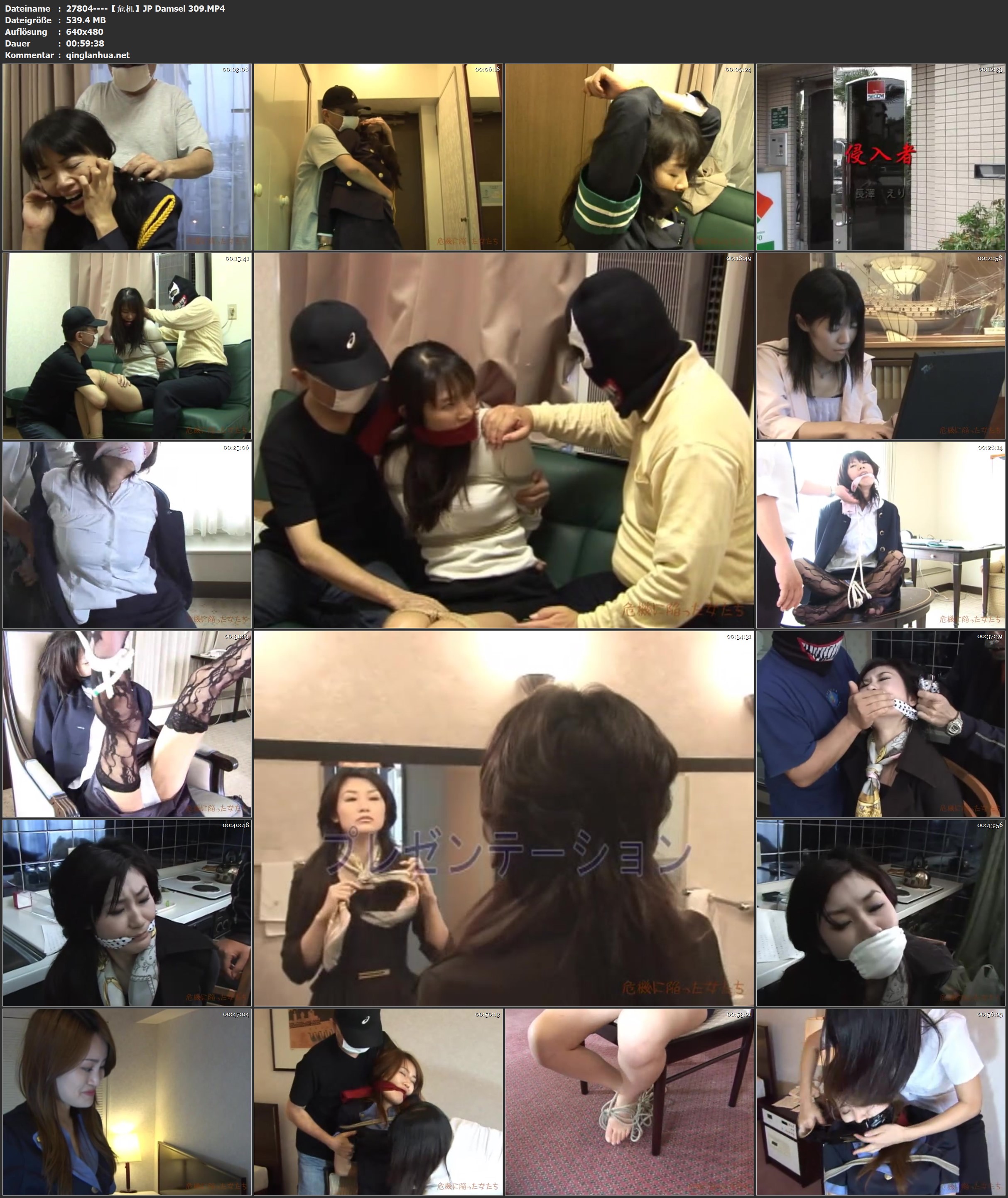 27804----【危机】JP Damsel 309.jpg