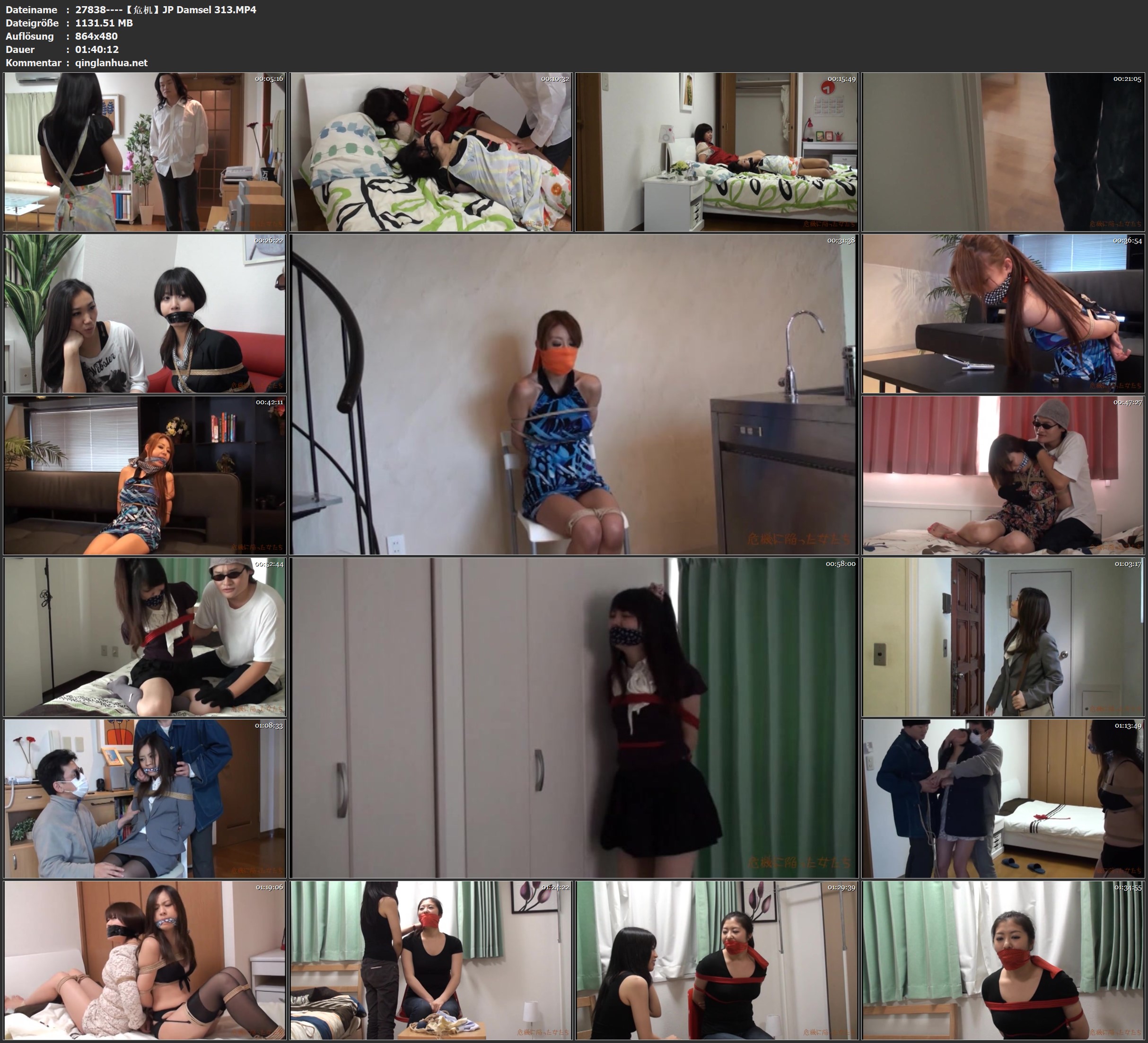 27838----【危机】JP Damsel 313.jpg