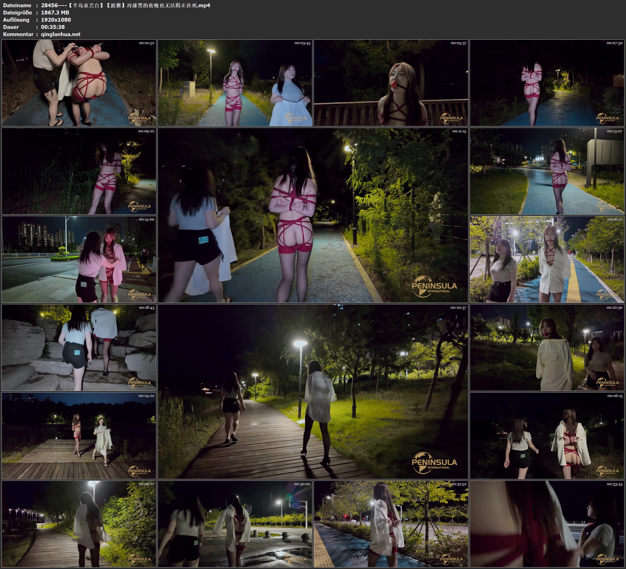 28456----【半岛束艺台】【波雅】再漆黑的夜晚也无法阻止社死.jpg