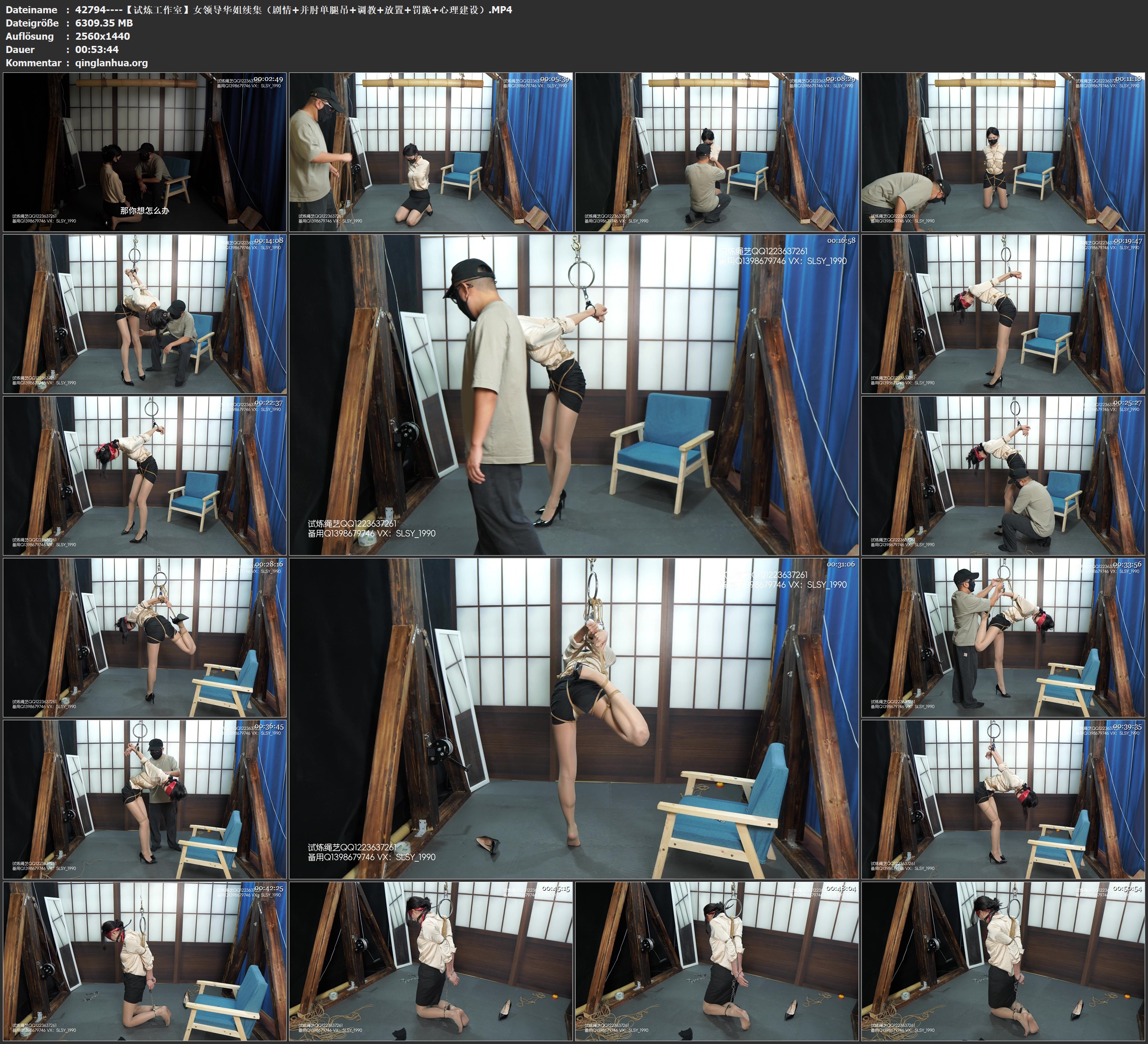 42794----【试炼工作室】女领导华姐续集（剧情 并肘单腿吊 调教 放置 罚跪 心理建设）.jpg
