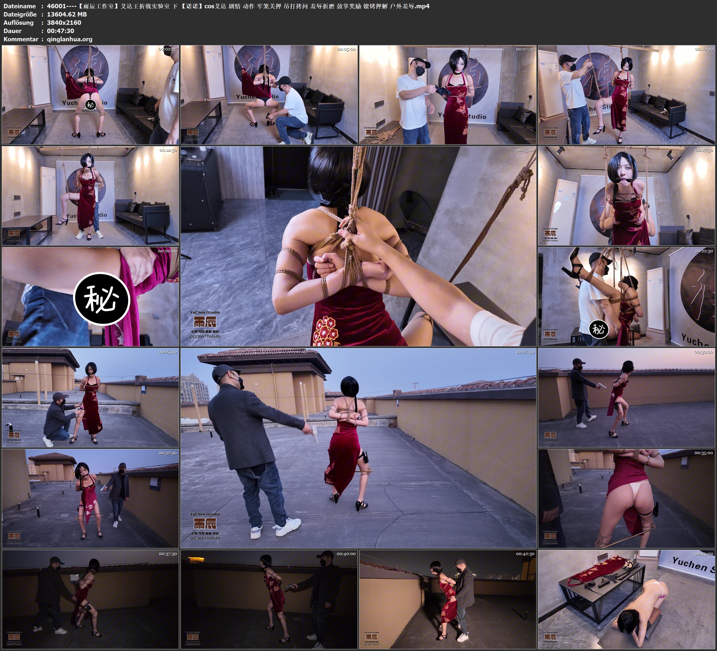 46001----【雨辰工作室】艾达王折戟实验室 下 【诺诺】cos艾达 剧情 动作 牢笼关押 吊.jpg