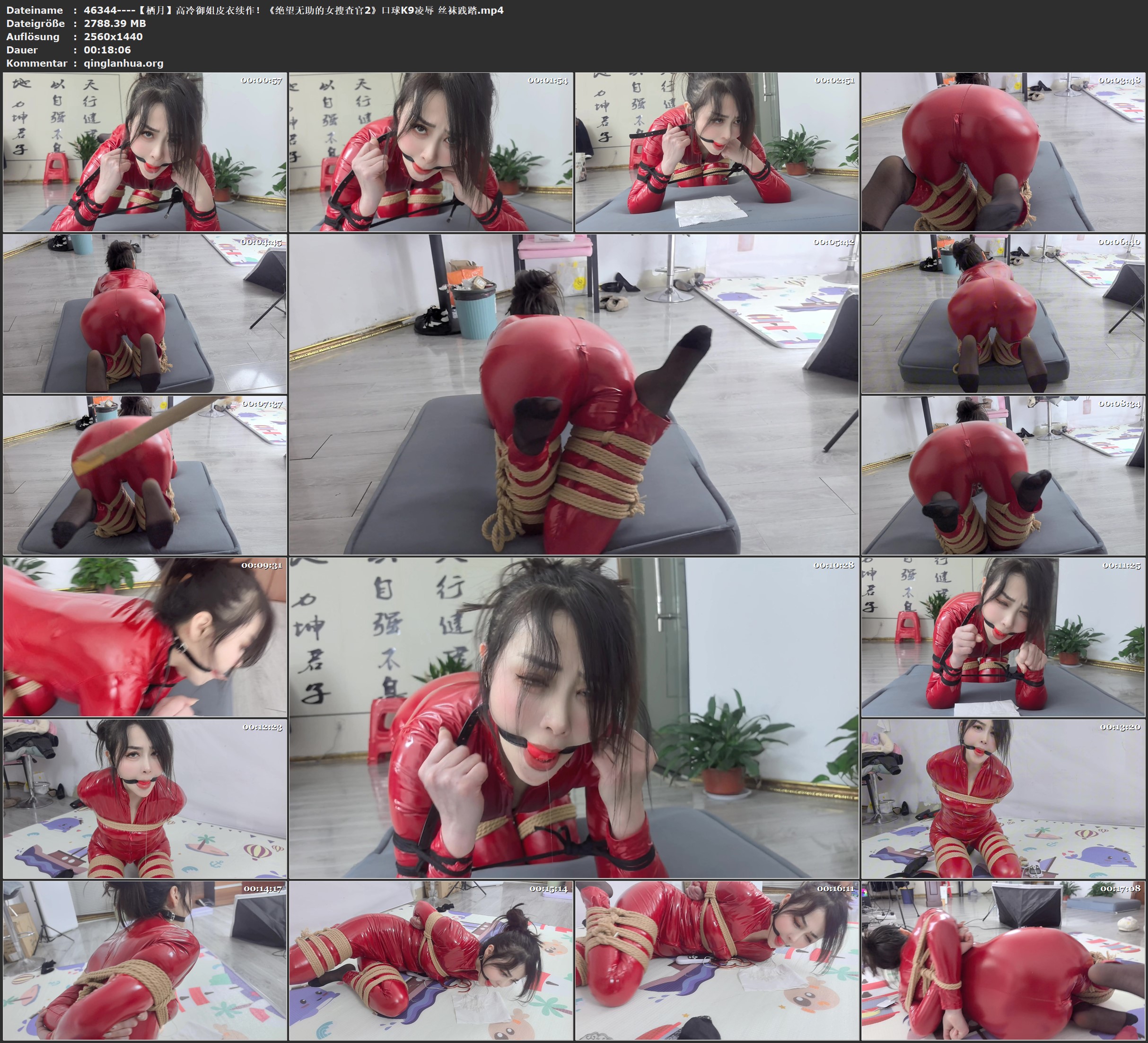 46344----【栖月】高冷御姐皮衣续作！《绝望无助的女搜查官2》口球K9凌辱 丝袜践踏.jpg