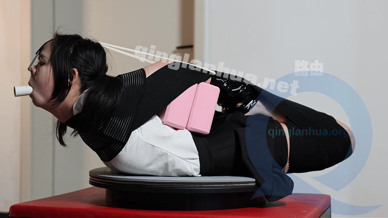 54349----.0011 - 副本.jpg