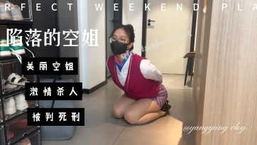 【zhangyang】陷落的空姐