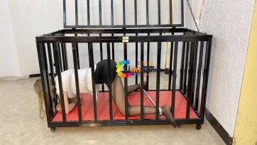 【xiao素素】《囚鸟》-MV剪辑